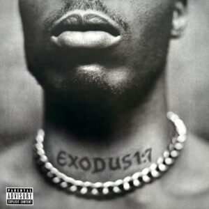 DMX-0