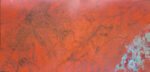 Birds Of Maya-1