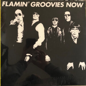 The Flamin' Groovies-0