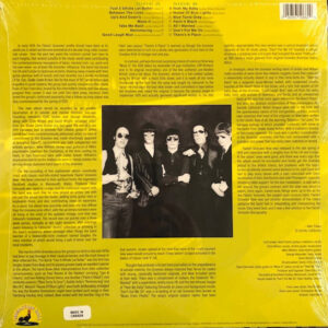 The Flamin' Groovies-1