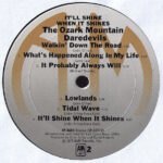 The Ozark Mountain Daredevils-3