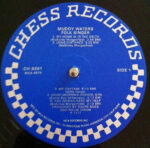 Muddy Waters-2