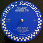 Muddy Waters-3