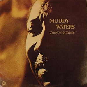 Muddy Waters-0