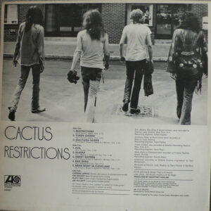 Cactus (3)-1