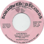 Bobby Lloyd And The Windfall Prophets-2