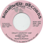 Bobby Lloyd And The Windfall Prophets-3