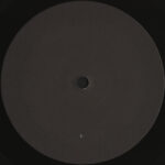 iamamiwhoami-2
