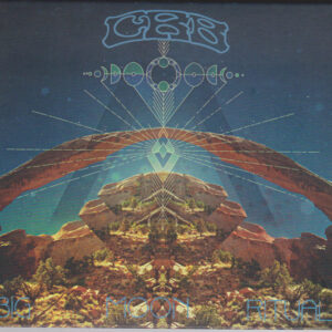 The Chris Robinson Brotherhood-0