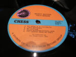 Muddy Waters-2