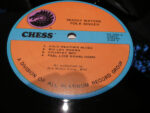Muddy Waters-3