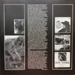 John Mayall With Peter Green (2), Mick Taylor, Keef Hartley, John McVie-3