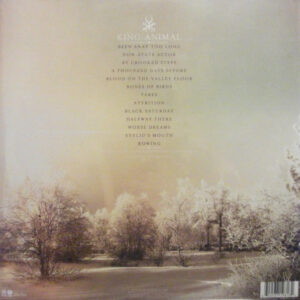 Soundgarden-1