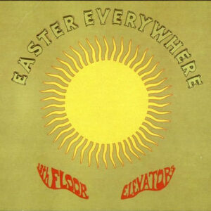 13th Floor Elevators-0