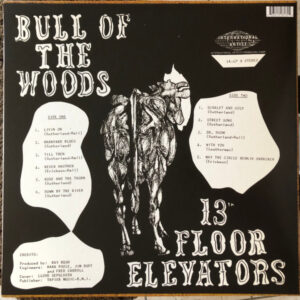 13th Floor Elevators-1