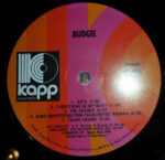Budgie-2