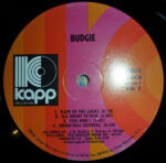 Budgie-3