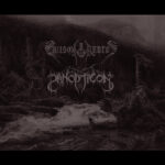 Falls Of Rauros / Panopticon (6)-0