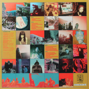 Acid Mothers Temple & The Melting Paraiso UFO-1
