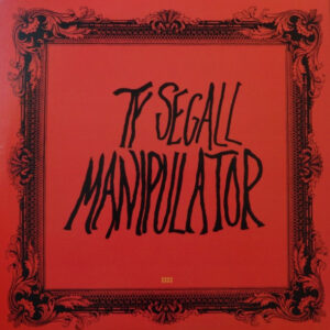 Ty Segall-1