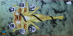Ty Segall-2