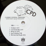 Cherry Poppin' Daddies-2