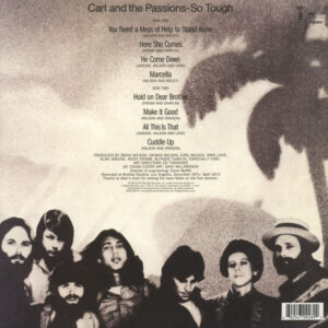 The Beach Boys-1