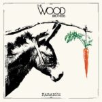 The Wood Brothers-0