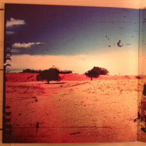 The Dream Syndicate-1