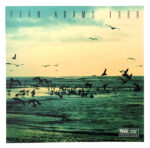 Ryan Adams-0
