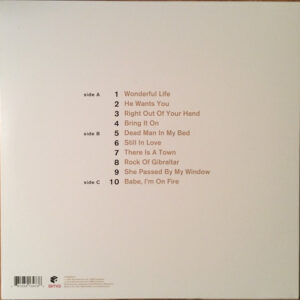 Nick Cave & The Bad Seeds-1