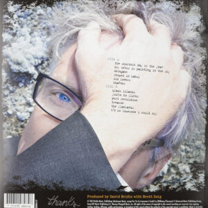 David Bridie-1