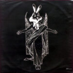 The Bunny Brains-4