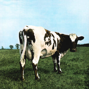 Pink Floyd-0