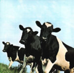 Pink Floyd-2