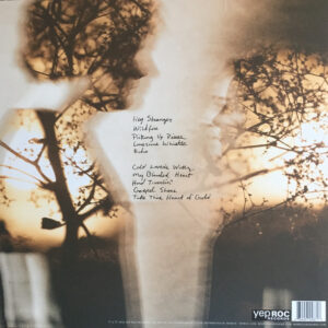 Mandolin Orange-1