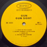 The Gun-2