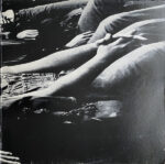 Steely Dan-2