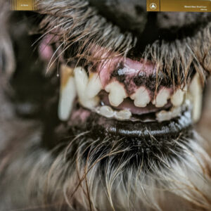 Blanck Mass-0