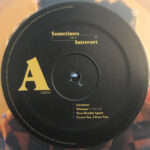 Little Simz-3