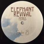 Elephant Revival-3